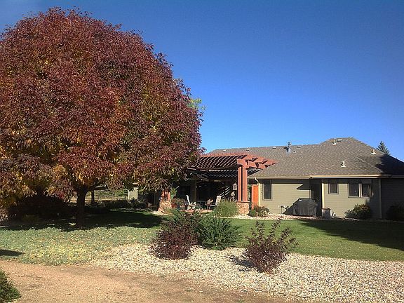 Back yard view