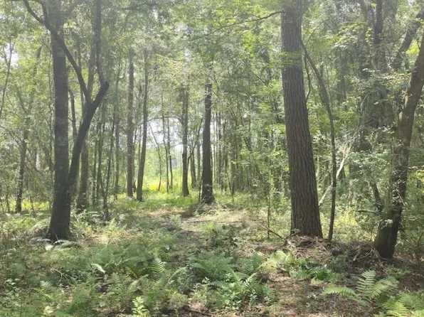 0 Cox Rd, Monticello, FL 32344