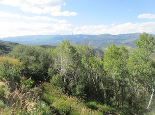 15672 View Point Ct, Collbran, CO 81624