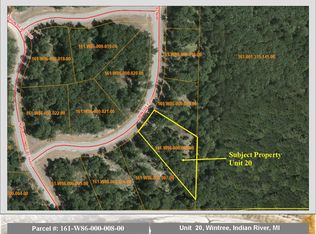 1023 Wintree Dr, Indian River, MI 49749