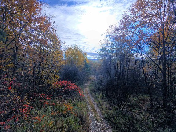 3rd image of 000 River Road
