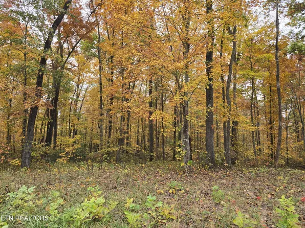 W Robbins Rd, Robbins, TN 37852