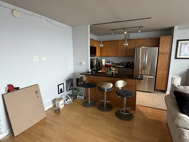 655 W Irving Park Rd #3815 — Photo 3