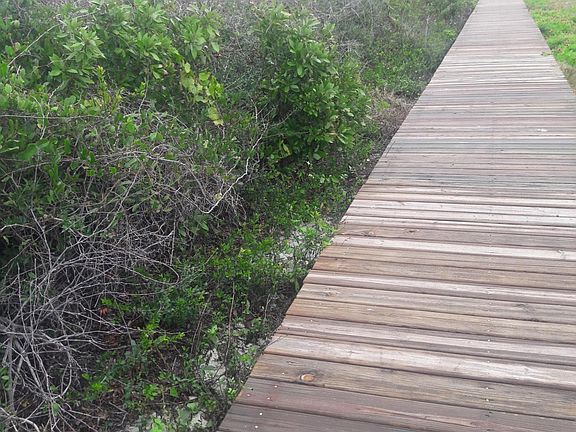 3rd image of 7100 N Ocean Shore Blvd