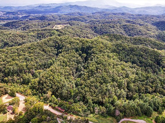 4th image of 1316 River Divide Rd