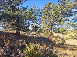 2151 County Road 403, Lake George, CO 80827