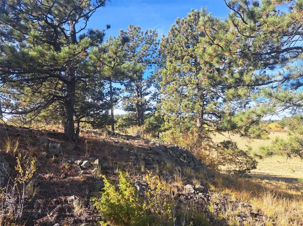 2151 County Road 403, Lake George, CO 80827
