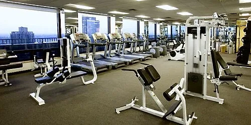 Rented by Luca Paci Real Estate