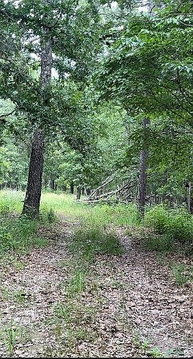 1st image of 24550 Capps Ranches Rd