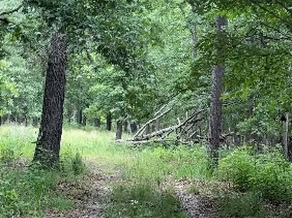 24550 Capps Ranches Rd, Rogers, AR 72756