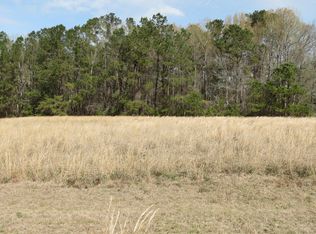 292 Greyback Rd, Summerville, SC 29483