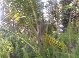 Kona Rd, Pahoa, HI 96778