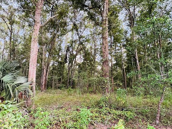 3rd image of LOT 7 NW 67th Pl Lot 7