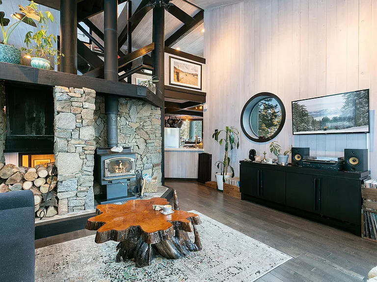 10594 Snowshoe Cir — Photo 59