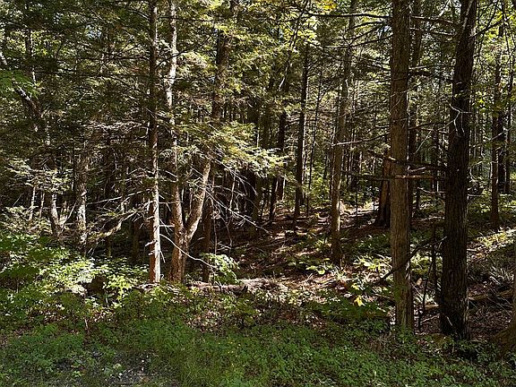 3rd image of 0 Main Rd