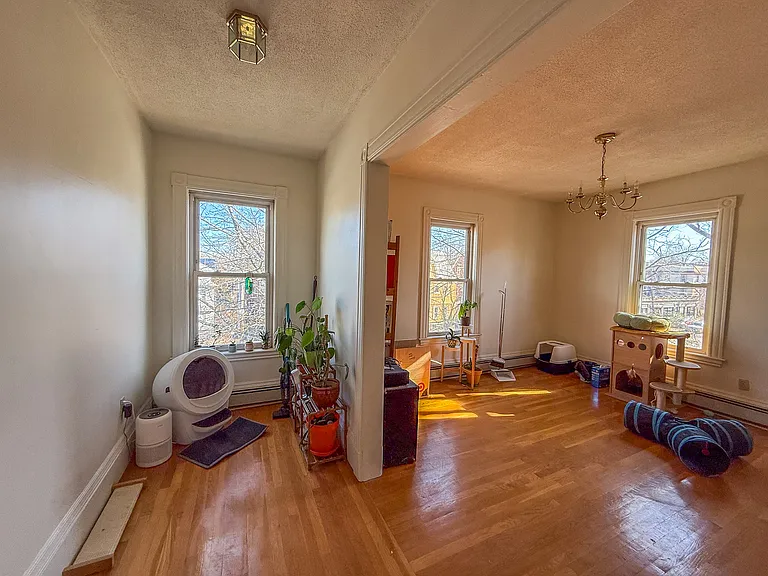154 Elm St #3 — Photo 4