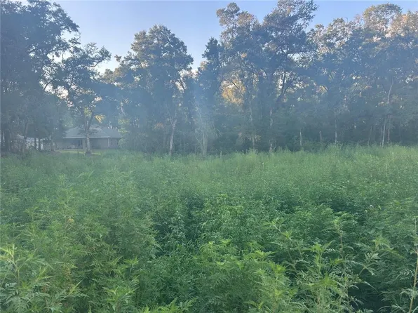 SE 140th Pl Lot 1, Summerfield, FL 34491