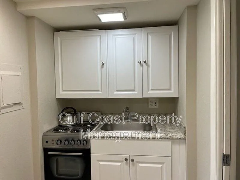 1 bed, 1.0 bath, 428 sqft, $1,425 — Photo 4