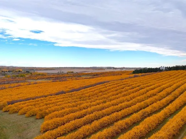 29250 Range Road 34, Mountain View County, AB T0M 1L0