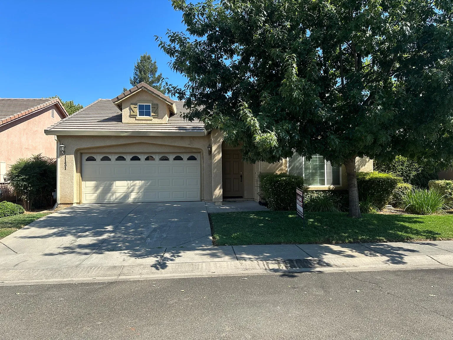 1131 Sam Rider Way photo 1