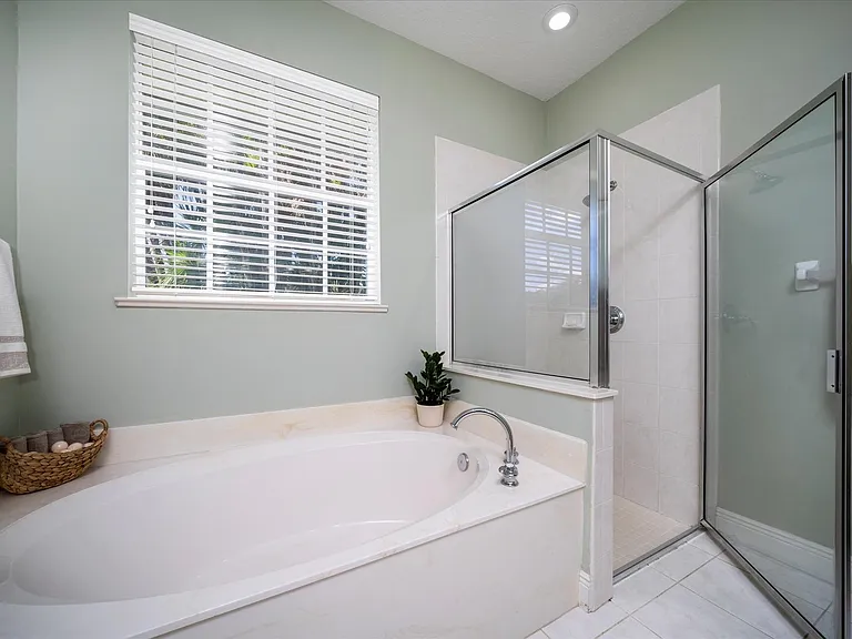 Master Tub & Shower