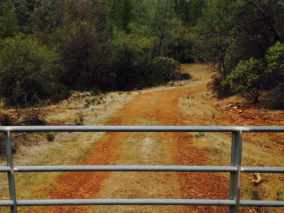 The Access Gate