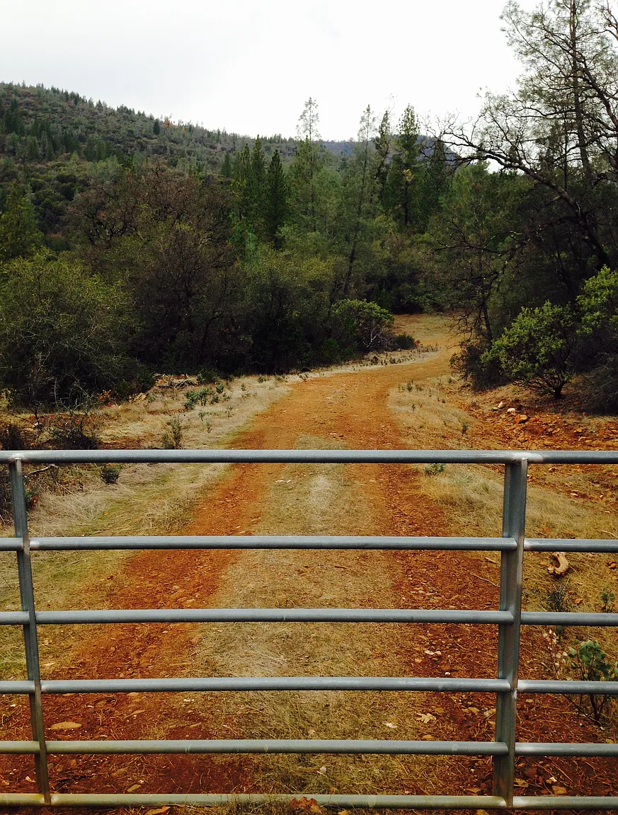 Elsa Ln photo 1