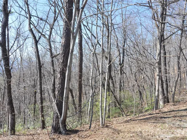 Mountain Crest Dr S #41, Marion, NC 28752