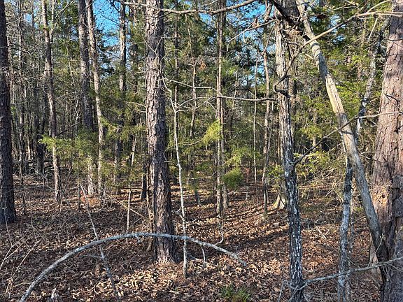 5th image of 553-553 Bald Eagle Rd