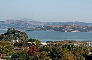 2nd image of 54 Arguello Cir