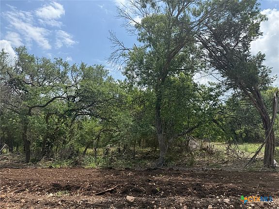 2nd image of 14 Silverleaf Rdg