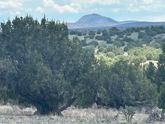 2nd image of LOT 24 Pinon Springs Rd