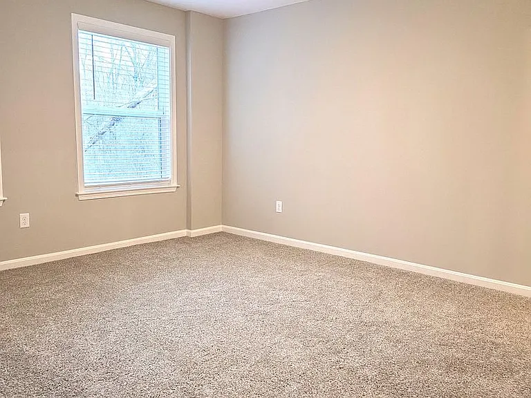 4238 Apple Branch Dr — Photo 15
