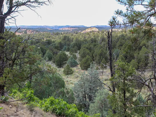 Narranjo Creek Rd, La Jara, NM 87027