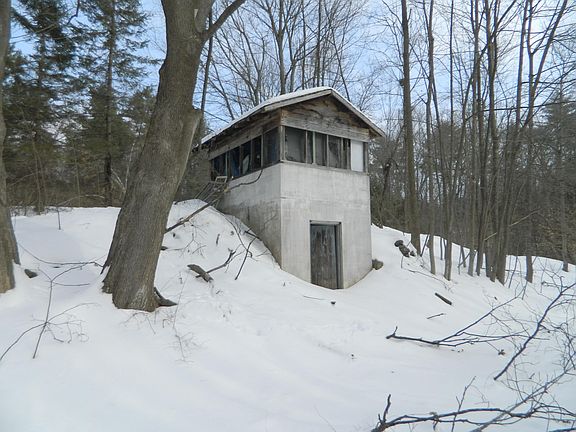 5th image of 45 Payne Street