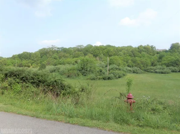 Castle Rock Dr, Pembroke, VA 24136