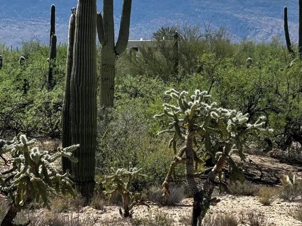 E Roger Rd #46, Tucson, AZ 85749
