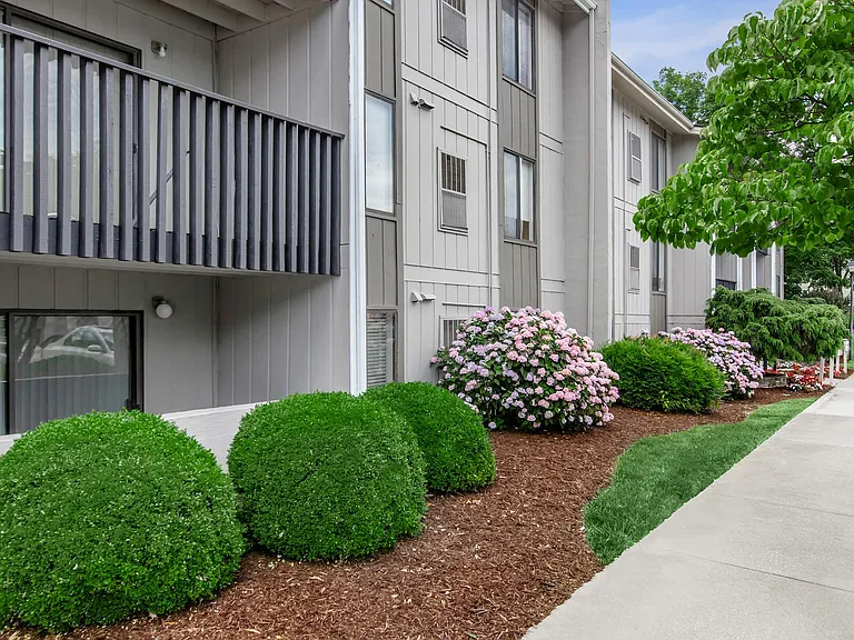 Honeywood Apartments — Photo 21