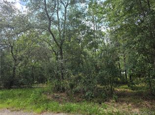 3211 E Millside Ln, Inverness, FL 34453