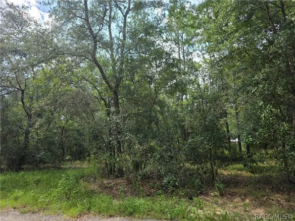 3211 E Millside Ln, Inverness, FL 34453