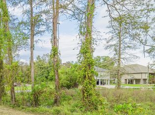 47313 Amite River Rd, Saint Amant, LA 70774