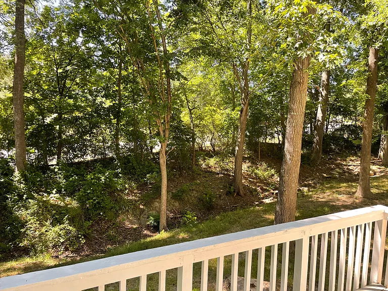 107 Chestnut Ridge Cir — Photo 18