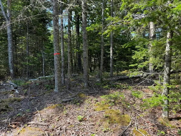 M6L21 Great Cove Road, Roque Bluffs, ME 04654
