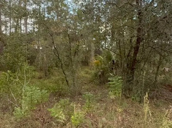 (undisclosed Address), Dunnellon, FL 34431
