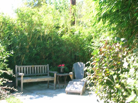 Serene Garden Retreat