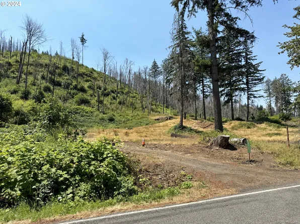 47232 Goodpasture Rd, Vida, OR 97488