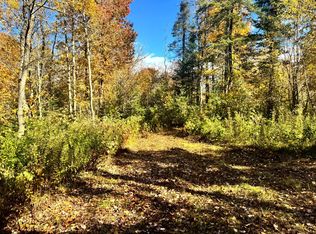 1.2 Higby Rd #2, Constableville, NY 13325