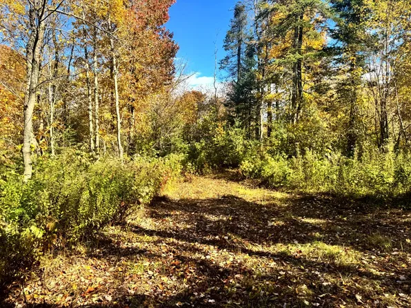 1.2 Higby Rd #2, Constableville, NY 13325