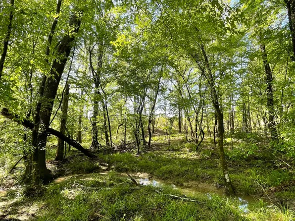 8033 Brushy Creek Rd, Crystal Springs, MS 39059