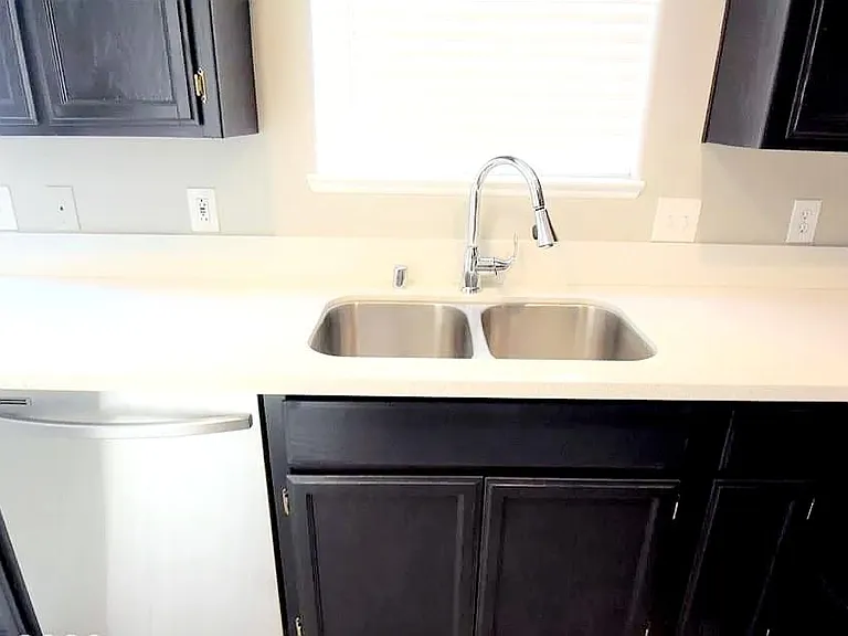 beautiful gooseneck faucet, and double stainless steel sink.